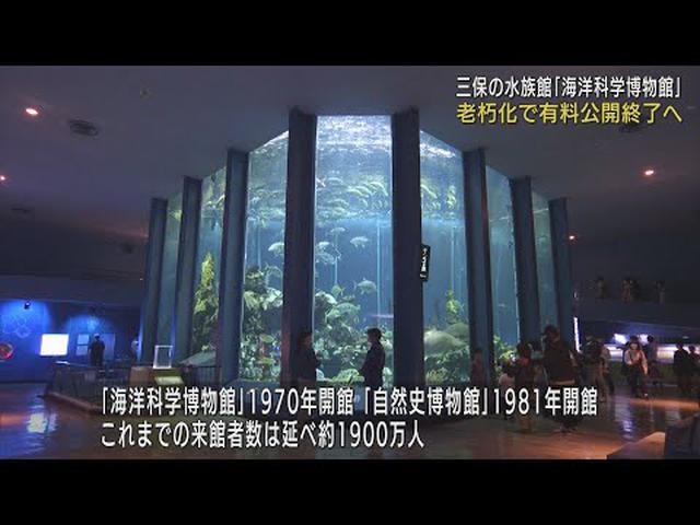 画像: 東海大学「海洋科学博物館」「自然史博物館」今年度いっぱいで閉館へ　学びの場として半世紀に渡り親しまれる　静岡市 youtu.be