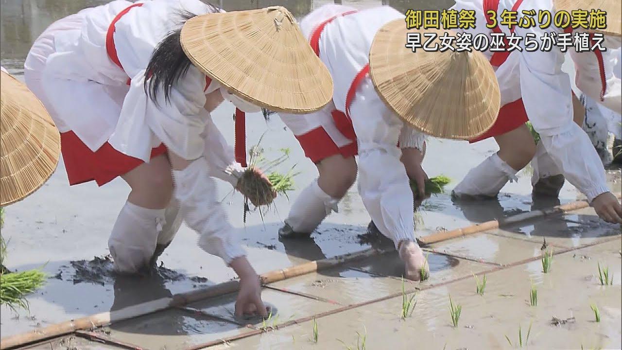 画像: 早乙女姿の巫女が田植え　豊作を祈願する神事「御田植祭」　コロナ影響で3年ぶりの開催　静岡浅間神社 youtu.be