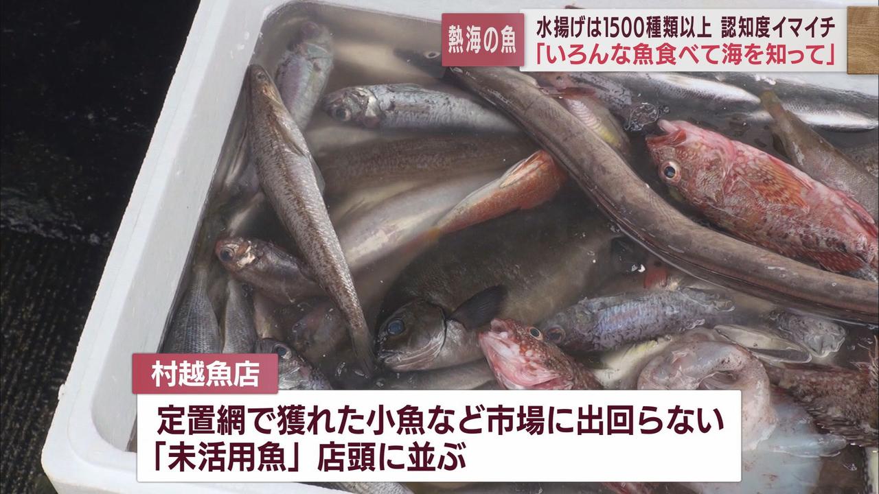 画像: 店頭には「未活用魚」も