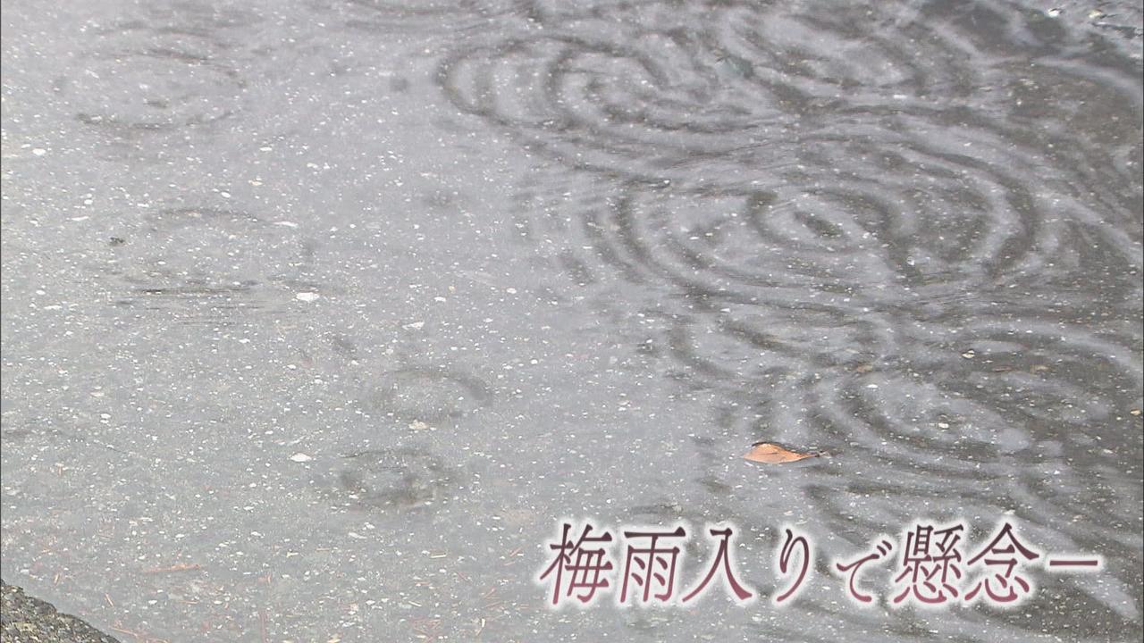 画像: 国内で１０００万人以上？　梅雨入りで増える「気象病」とは　気圧の急激な変化で自律神経が　規則正しい生活が大事　静岡市