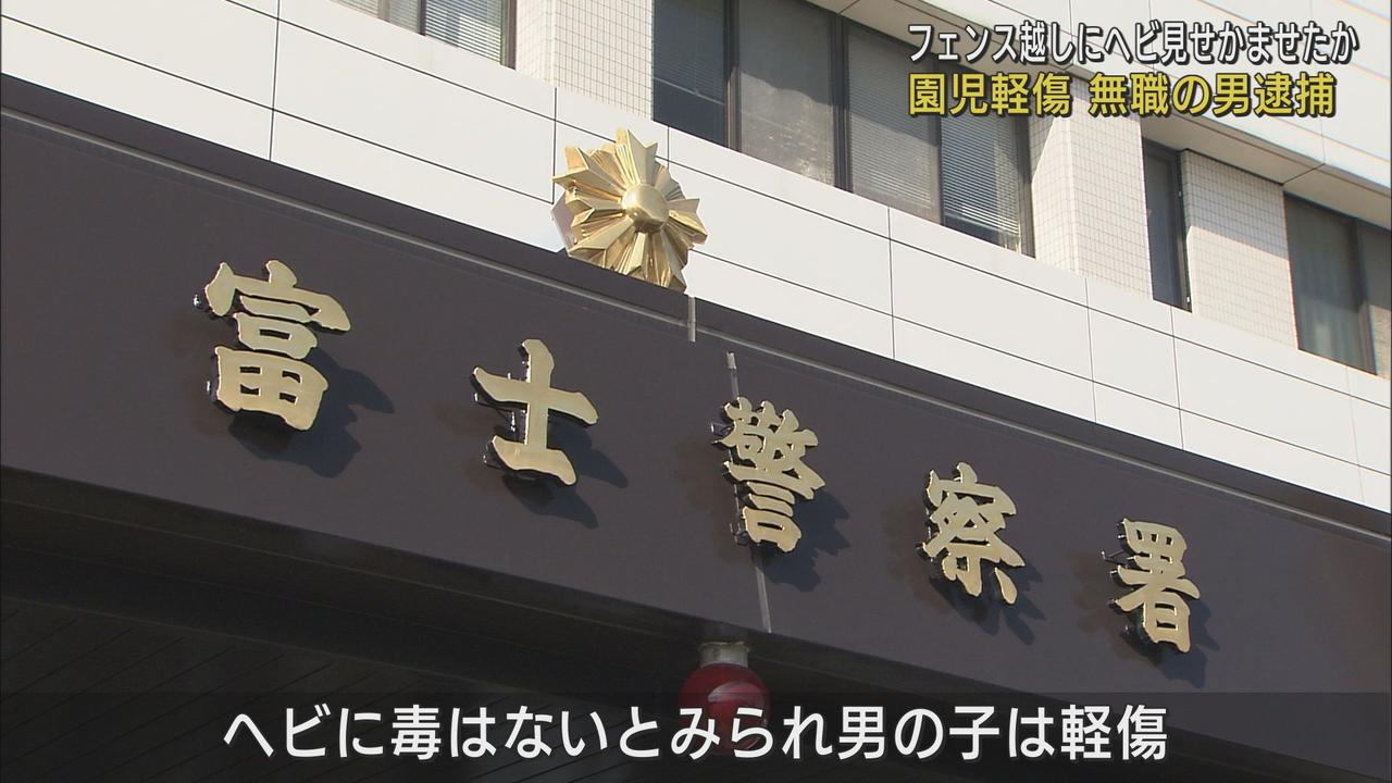 画像: 幼稚園のフェンス越しにヘビをかみつかせたか　6歳男児が軽傷　静岡・富士市の69歳の男を逮捕