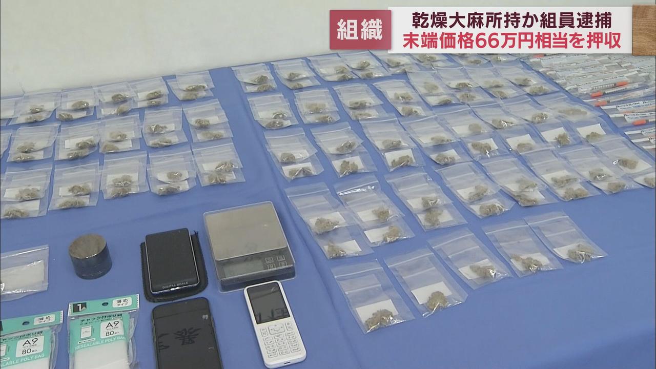 画像: 末端価格66万円相当…　営利目的での大麻所持の疑いで男を逮捕　静岡・三島警察署