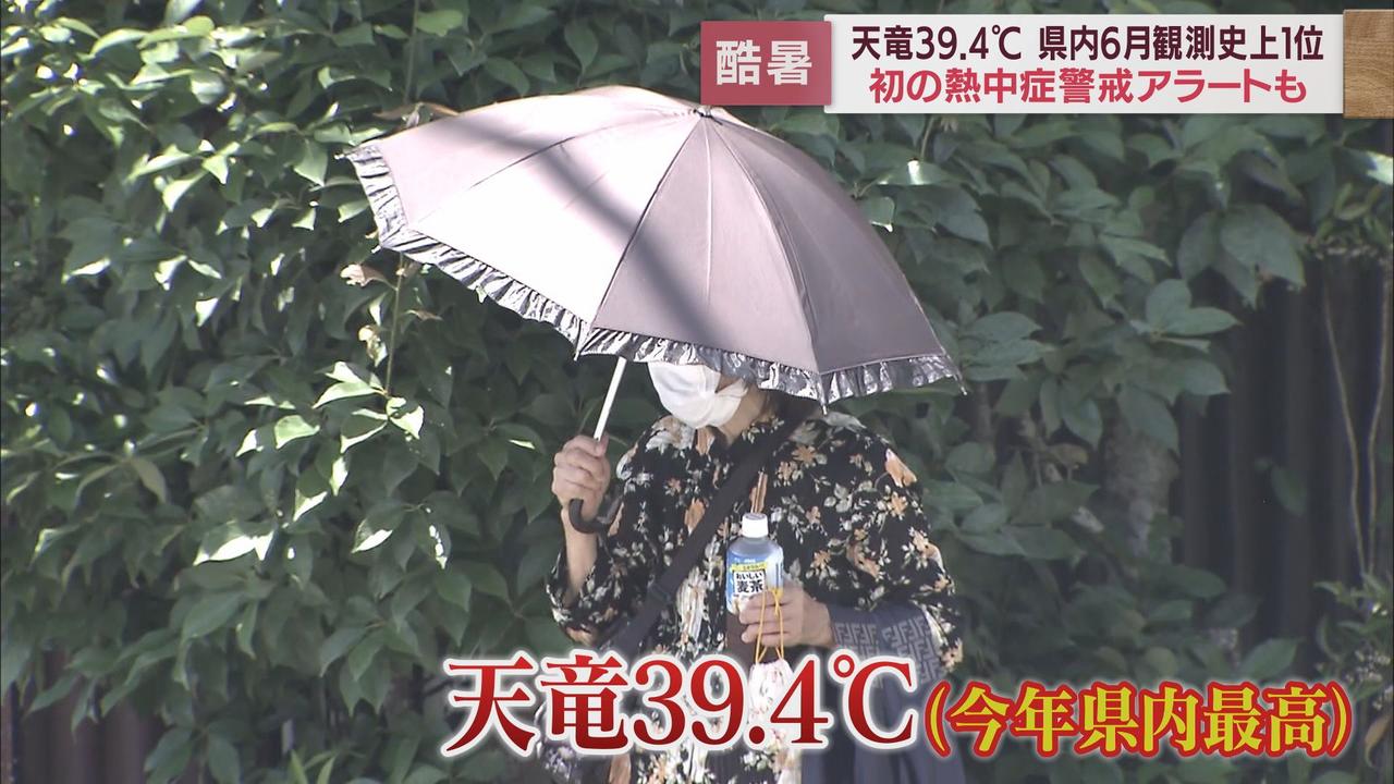画像: 異例の暑さが続く静岡県内