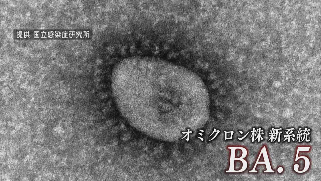 画像2: 【新型コロナ】静岡県初のＢＡ.５…感染しやすくなる可能性も　ゲノム解析の現場は　静岡市