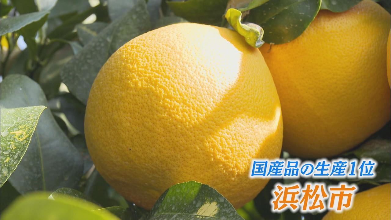 画像2: 浜松産だけを使った国産１００％のグレープフルーツジュース