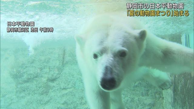 画像: ３年ぶりに「動物園まつり」　餌やり体験やホッキョクグマの食事の観察など　静岡市　日本平動物園 youtu.be