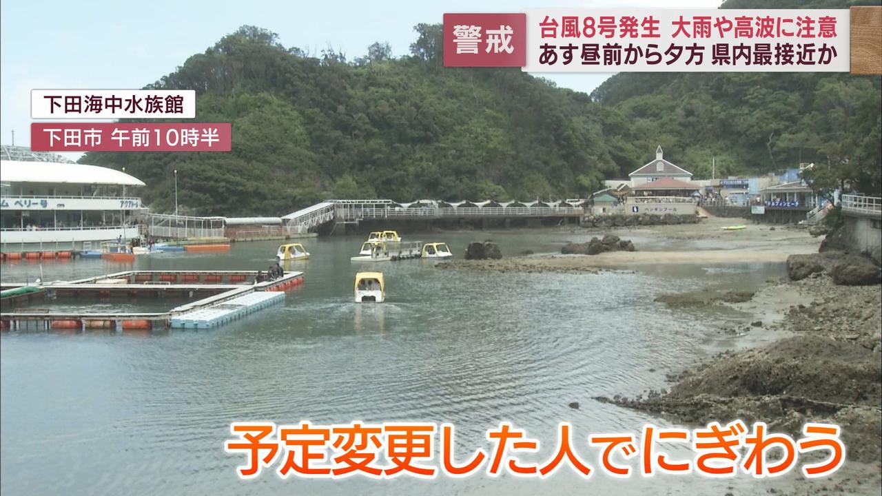 画像: 下田市…海に入らず水族館に