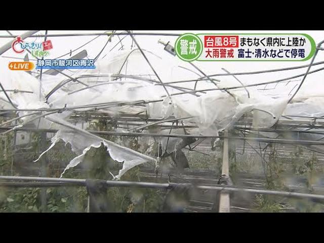 画像: 【台風8号】骨組みがぐにゃり　農業用のビニールハウス15棟が壊れる　静岡市 youtu.be