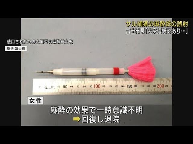 画像: サル捕獲の麻酔銃誤射　矢が当たった女性は回復し退院　静岡・富士市長が謝罪コメント youtu.be