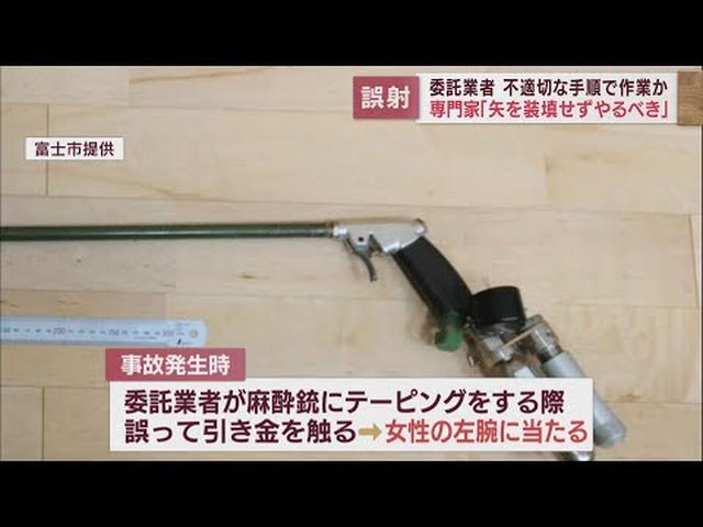 画像: 麻酔銃の矢が誤って女性の腕に…　サル捕獲の委託業者が不適切な手順で作業か　静岡・富士市 youtu.be