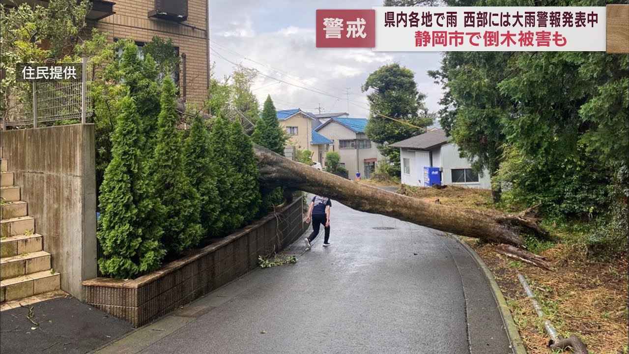 画像: 静岡県内各地で大雨　倒木でマンションの窓が割れる被害も…竜巻などの激しい突風や土砂災害に注意 youtu.be