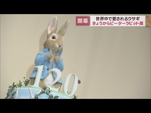 画像: ピーターラビット展　静岡市美術館で始まる　日本初公開の原画やスケッチなど170点を展示 youtu.be