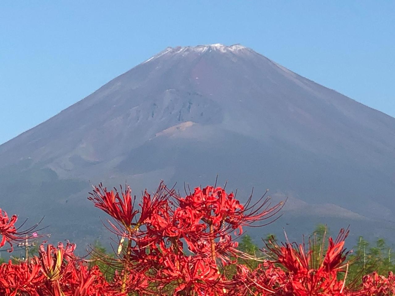 画像: 【速報】平年より2日早く富士山が初冠雪　山頂付近マイナス2．9℃に