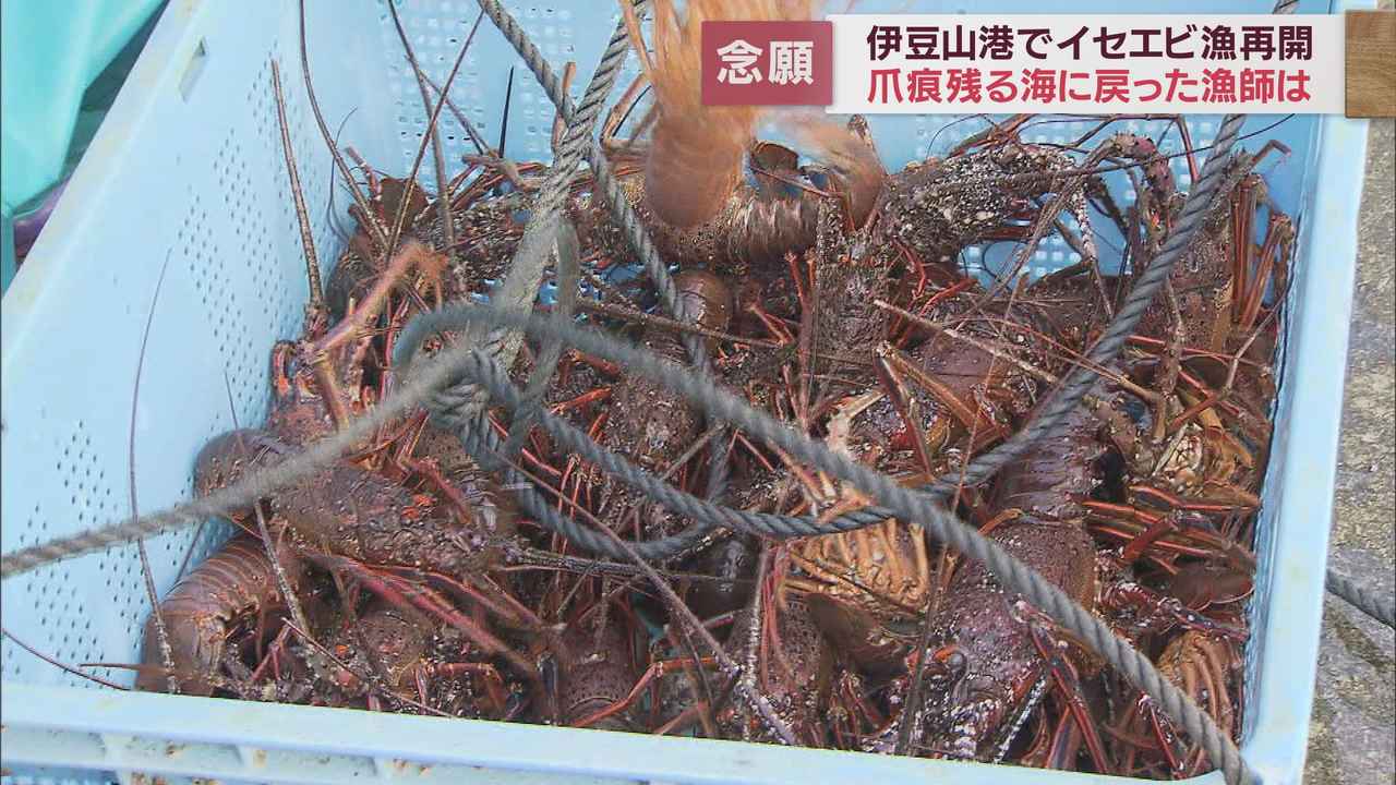 画像2: 土石流災害から1年3カ月伊勢エビ漁再開するもいまだに影響が　静岡・熱海市伊豆山港