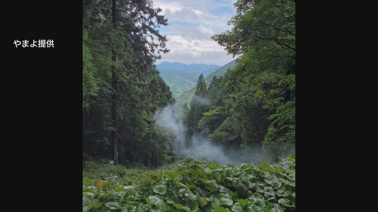 画像1: 美しい階段状の沢が土砂に埋まり