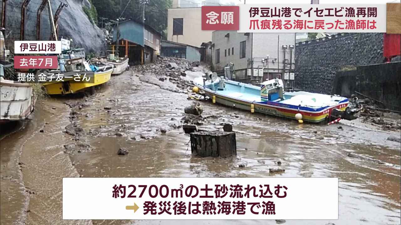 画像1: 土石流災害から1年3カ月伊勢エビ漁再開するもいまだに影響が　静岡・熱海市伊豆山港