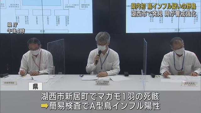 画像: 静岡県では初めての確認…鳥インフルエンザ感染の疑いがある野鳥　周辺10キロ圏内を「野鳥監視重点区域」に指定　静岡・湖西市 youtu.be