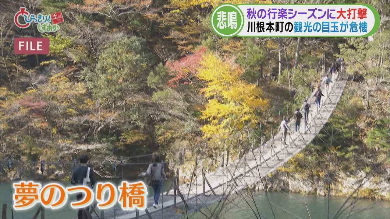 画像1: 人気スポット「夢のつり橋」も