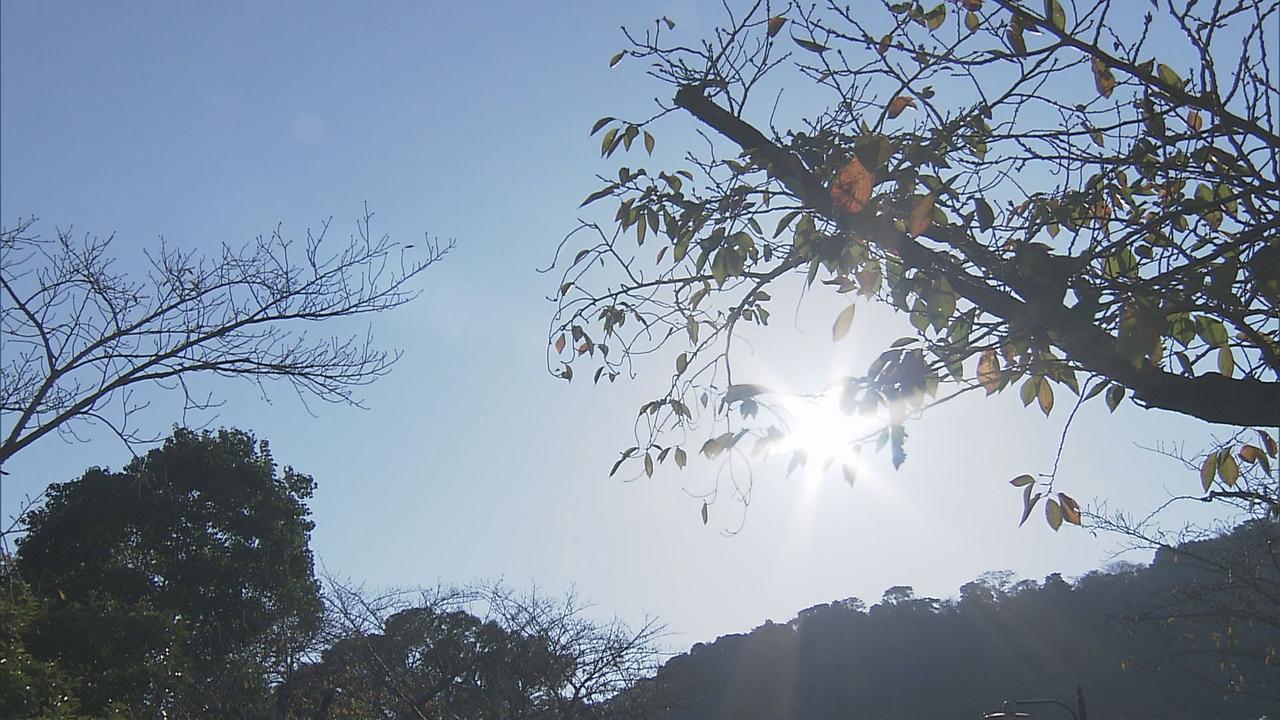 画像: 東伊豆町稲取27℃、浜松市天竜26℃…各地で「夏日」　児童「半袖に着替えた」　静岡県