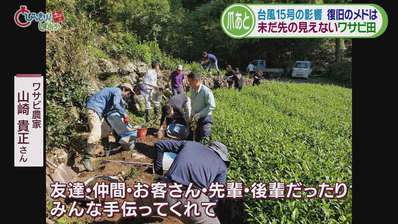 画像: 土砂流入した茶畑は仲間の手助けで通常に