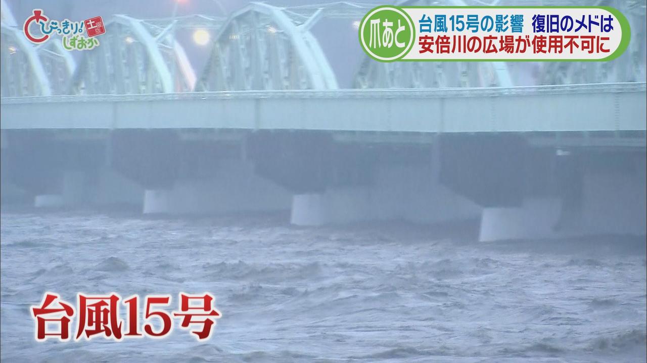 画像: 江戸時代から受け継がれてきたワサビ田は復旧のメド立たず　河川敷グラウンドは使えず…いまだ残る台風15号の爪痕　静岡市