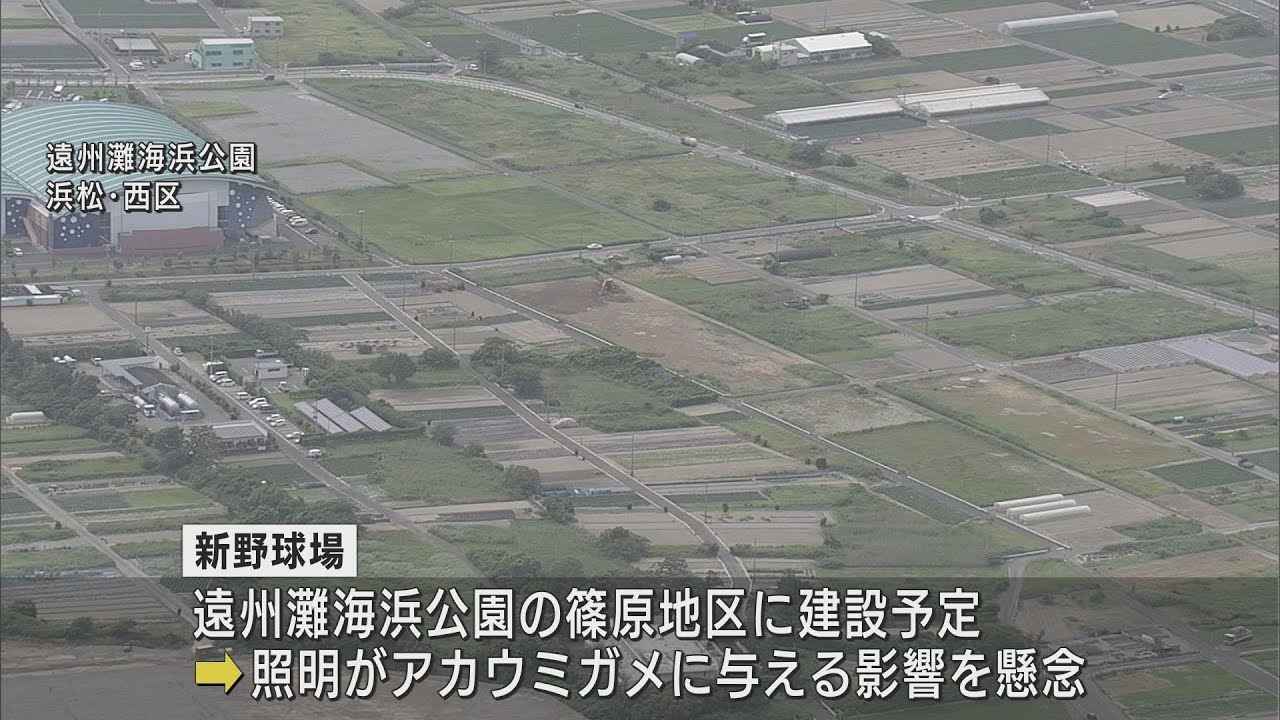 画像: 浜松市の新球場は照明設備なしで…？　アカウミガメの生態への影響踏まえ県が提示　12月議会で新整備プラン youtu.be