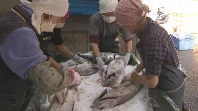 画像: 季節の風物詩　潮カツオ作り始まる　静岡・西伊豆町 youtu.be