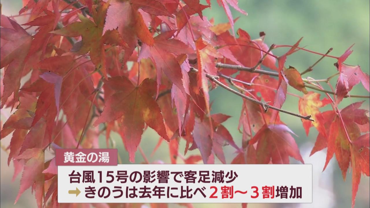 画像: 「今年は例年になくいい。千載一隅のチャンス」温浴施設では…