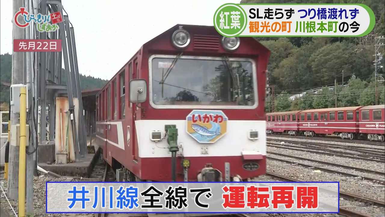 画像: 「井川線」は全線で運転再開…のんびりとした列車の旅も