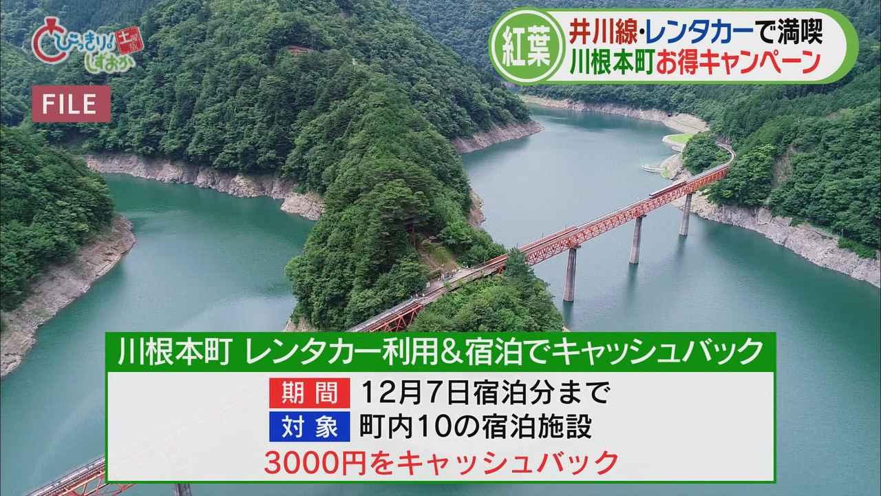 画像: 観光協会はレンタカーでお得なキャンペーンを