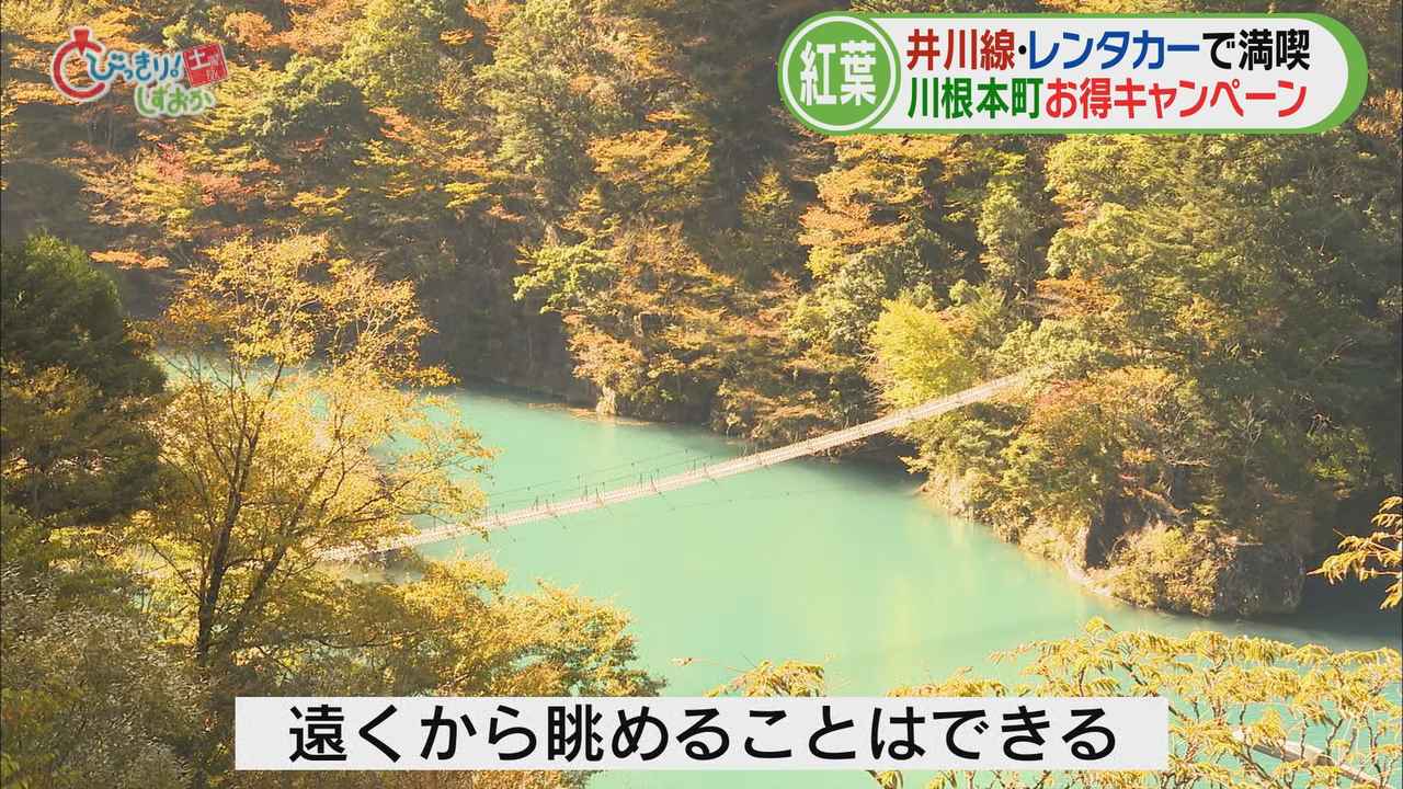 画像: 「夢のつり橋」遠くから中攻めると…