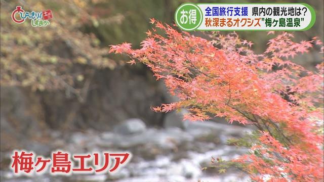 画像: 赤と緑のコントラストが360度広がる…紅葉が見ごろ　静岡市葵区梅ヶ島 youtu.be