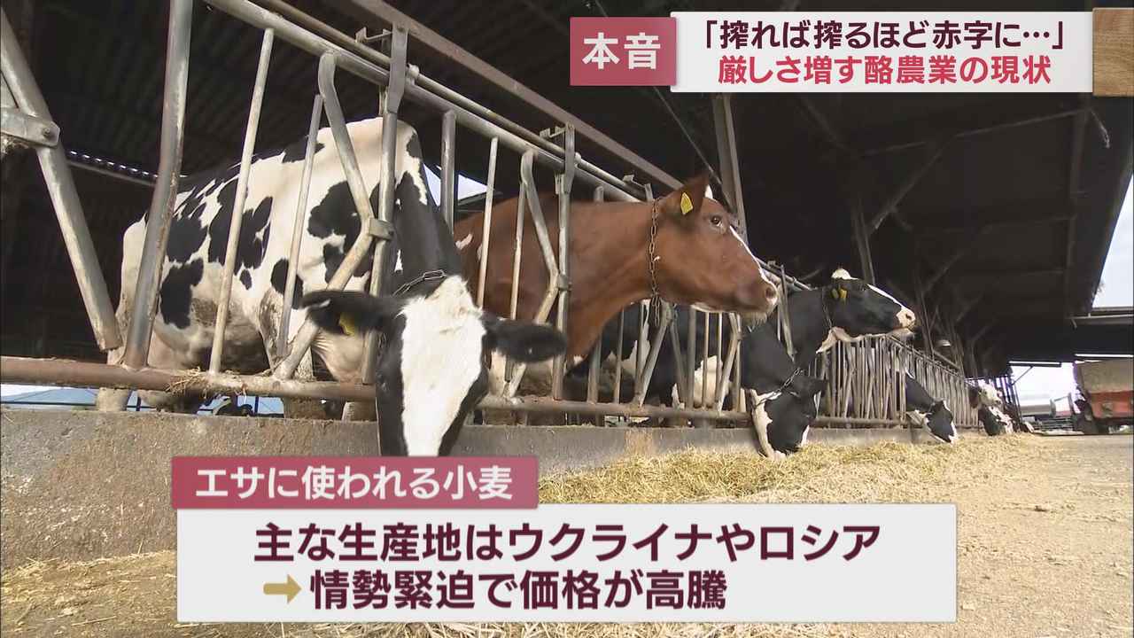 画像1: 酪農家が直面する深刻な現実