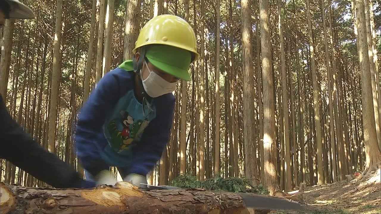 画像: 「木、なんか気持ちいい…」　園児が山で間伐を体験　静岡・長泉町 youtu.be