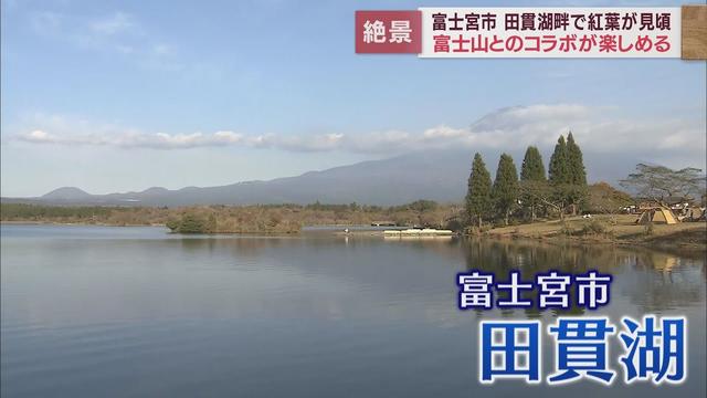 画像: 「ここへ来るとまだまだ長生きしそう」富士宮市・田貫湖の紅葉が見ごろ　富士山との共演も… youtu.be