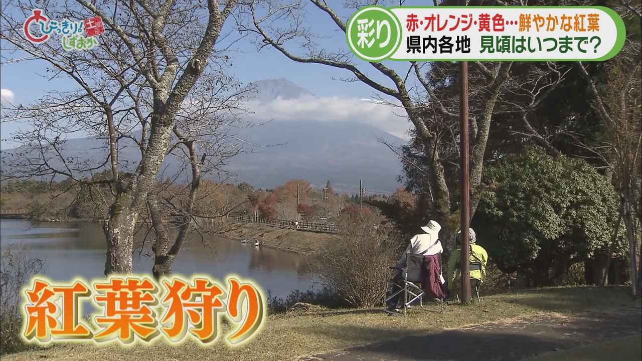 画像: 富士宮市「田貫湖」　富士山と紅葉の共演