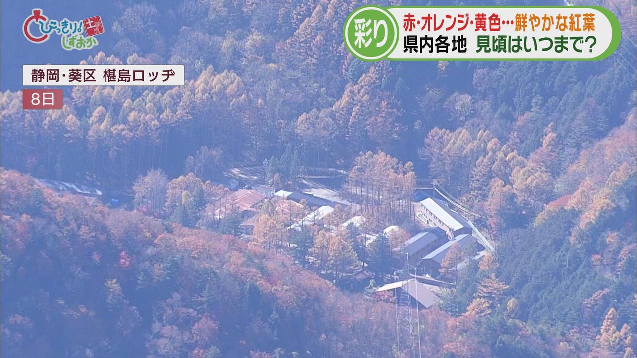 画像: 空から見た紅葉は