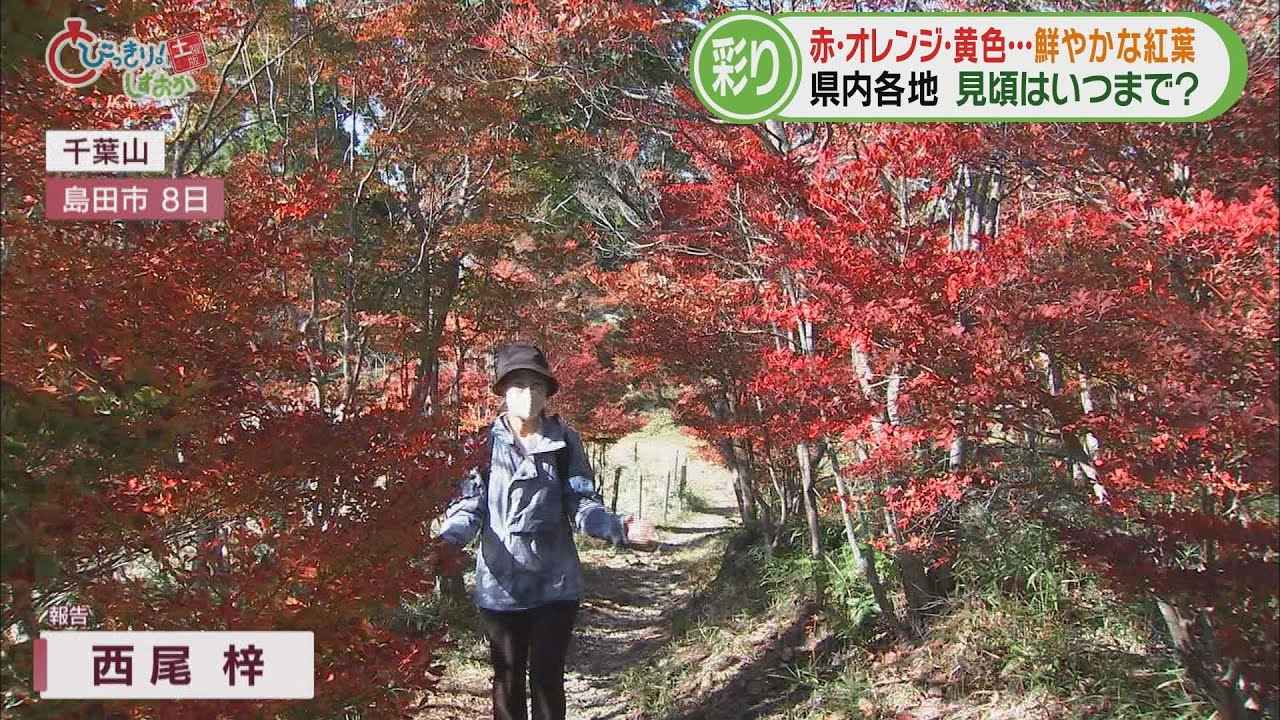 画像: 「絵の具を塗った感じ、すごくきれい」　富士山と紅葉が共演する湖　空から各地の映像も…静岡県紅葉スケッチ youtu.be