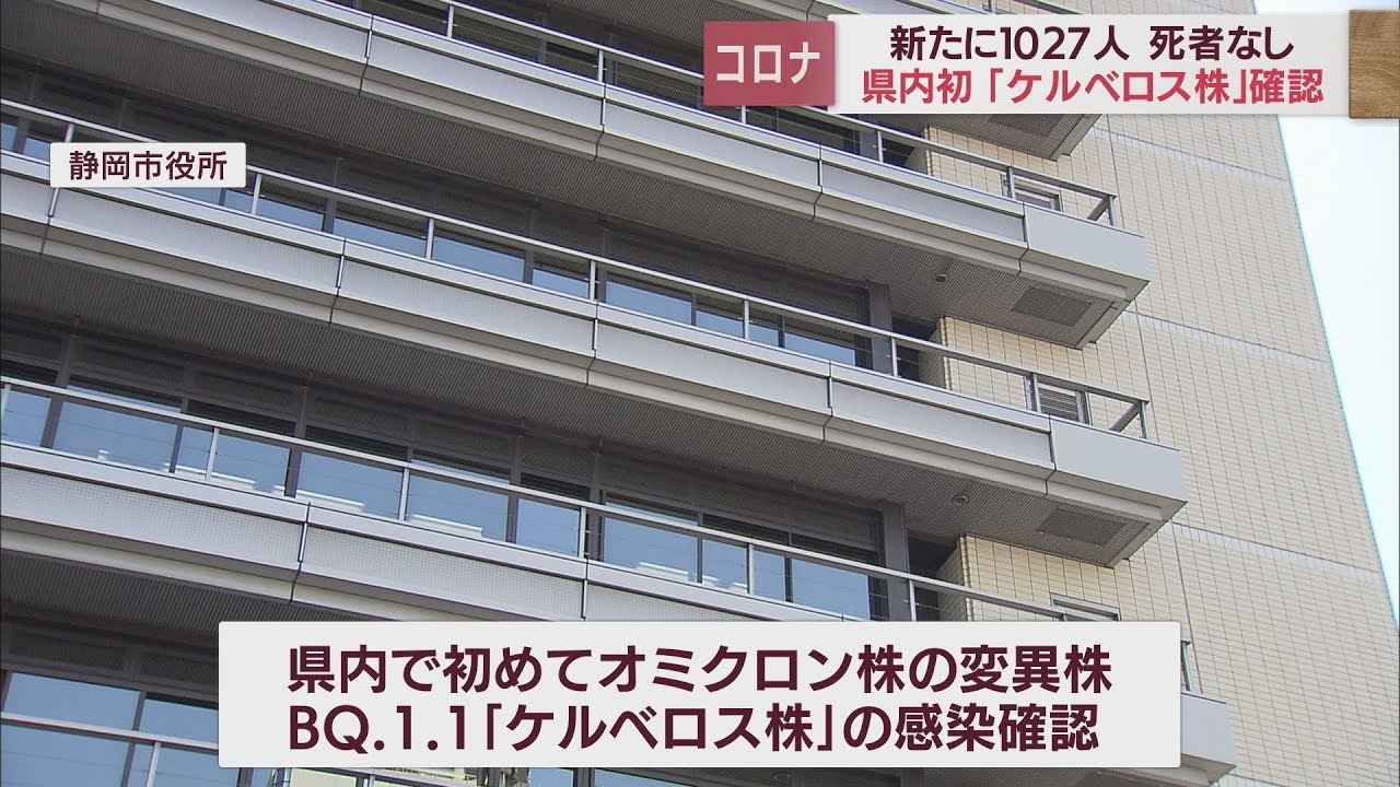 画像: 【新型コロナ / 11月14日】静岡県1027人感染　「ケルベロス株」県内で初の確認　病床使用率37.8％ youtu.be