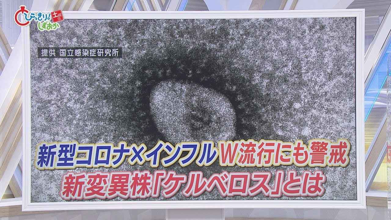 画像: 専門医「１万人もありうるが、予測できない」…ケルベロス株が感染拡大を加速か　街では忘年会を前倒しの動きも　静岡 youtu.be