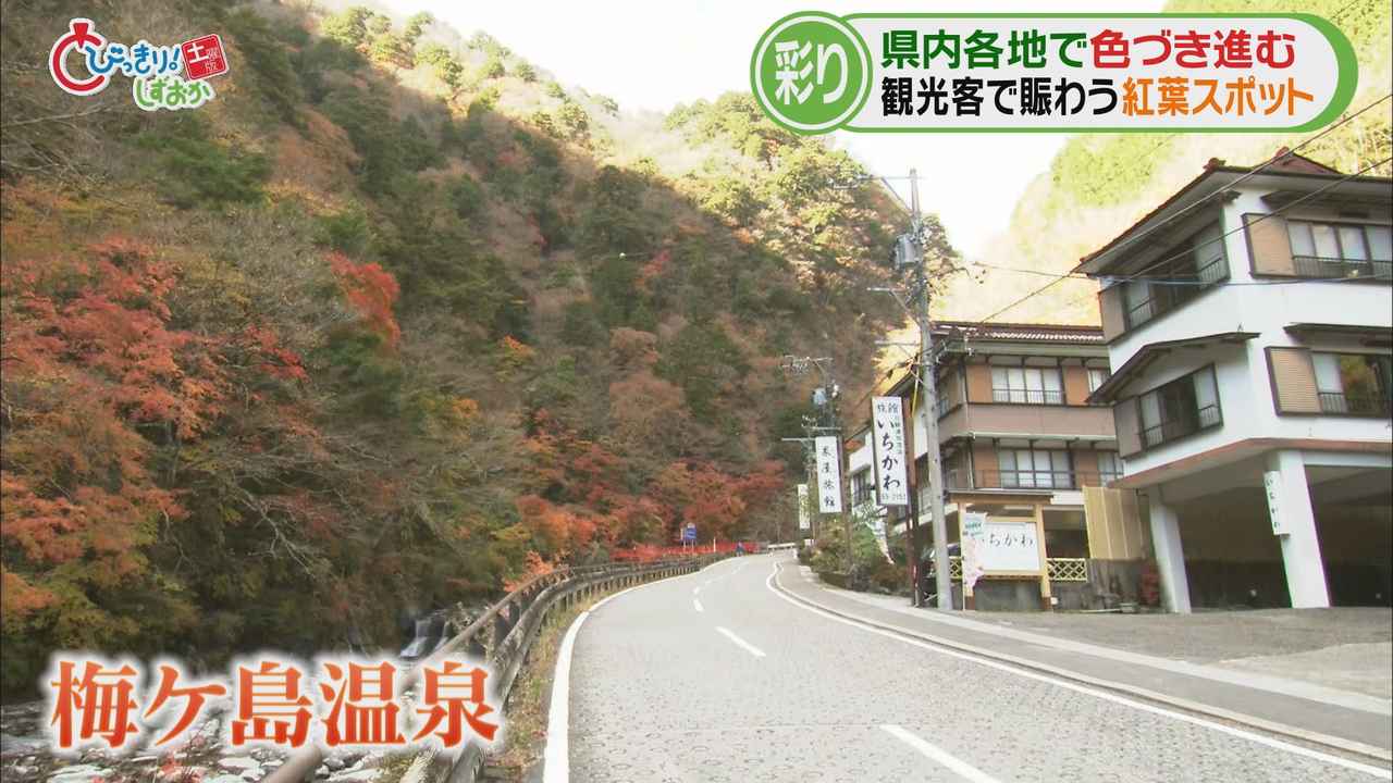 画像: 静岡市葵区の梅ヶ島温泉