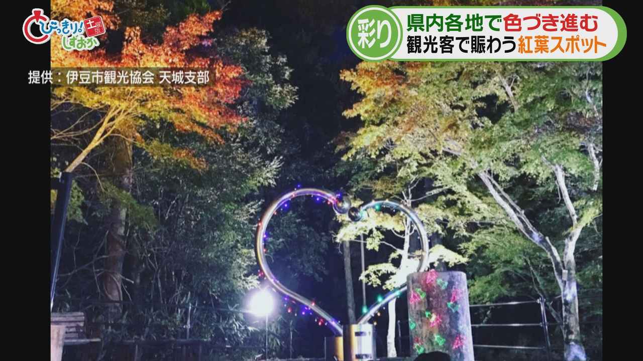 画像2: 伊豆市・天城山