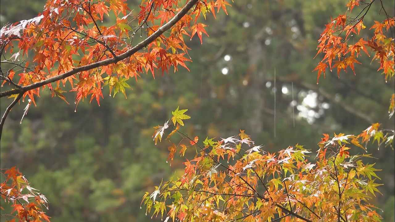 画像: 「晴れた日とはまた違う美しさ」