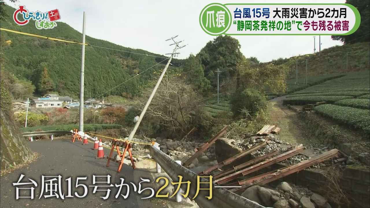 画像2: 【台風15号】「奥長島のだんだん茶畑」に残る爪痕…10年間保全活動していた女性「かわいそうで…」　静岡市