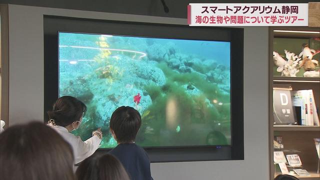 画像: 「海を学ぶ体験ツアー」…プラスチックごみなど海洋問題も学ぶ　静岡市 youtu.be