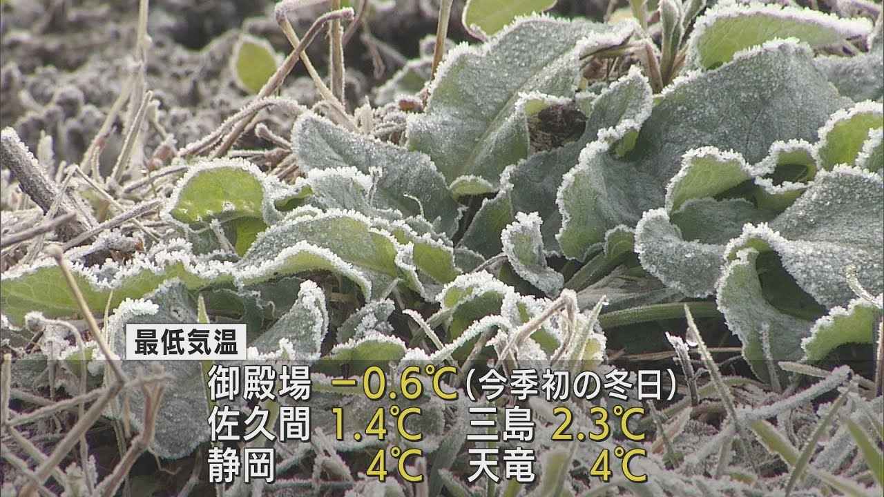 画像: 静岡県内も冷え込む　静岡市で初霜　御殿場では今シーズン初の冬日 youtu.be