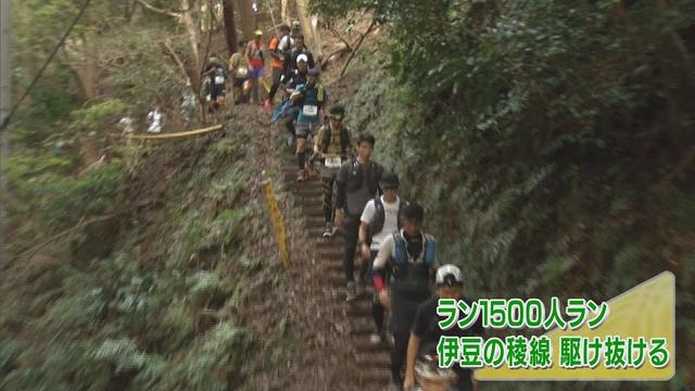 画像: 高低差1000メートル伊豆半島5市町を駆け抜けるトレイルランニング大会 youtu.be