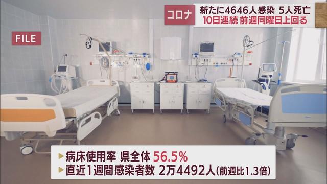 画像: 静岡県5人死亡、4646人感染…10日連続で前週上回る　病床使用率56．5％　【新型コロナ/12月15日】 youtu.be