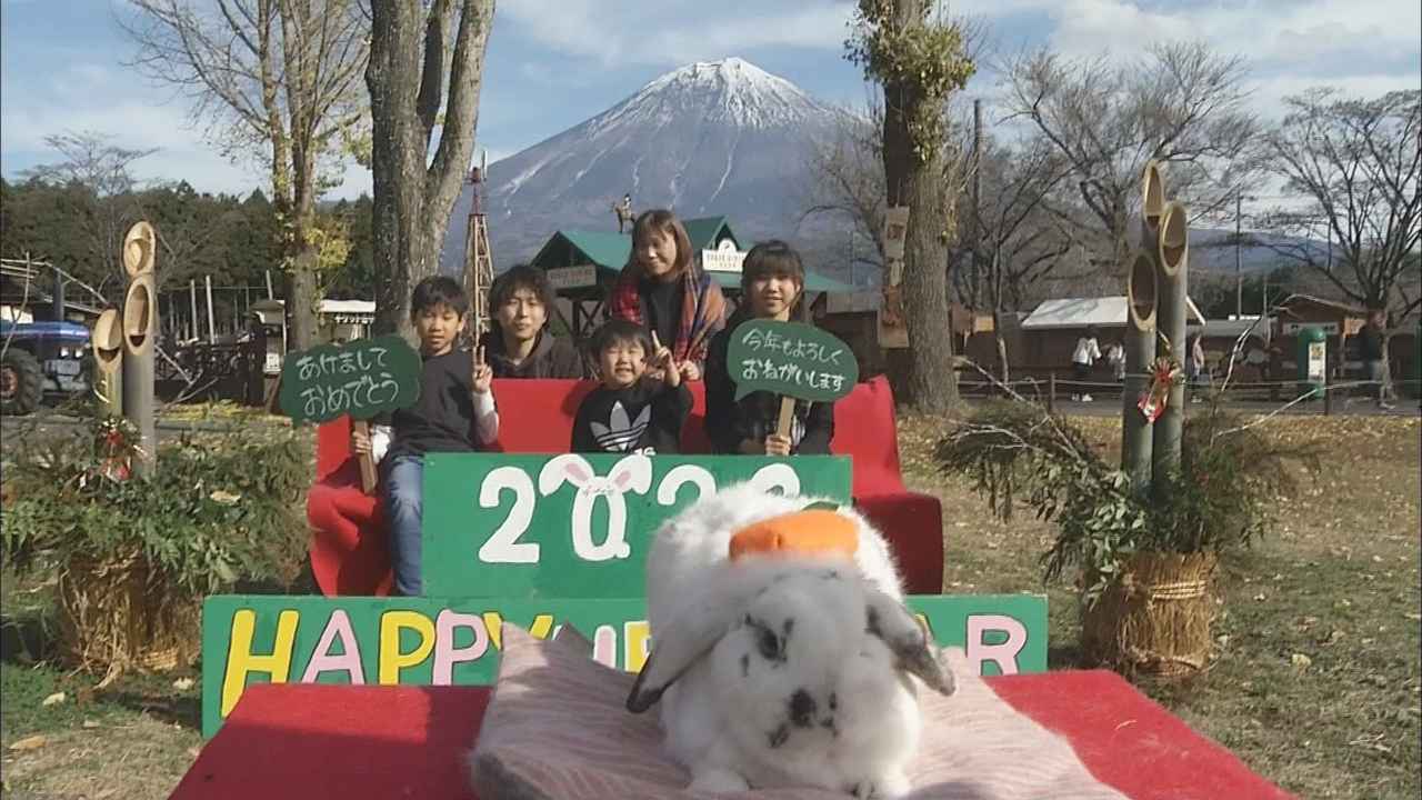 画像: 「鏡餅」みたいな７歳の女の子「つぶちゃん」と一緒に…ウサギと一緒に撮影会　静岡・富士宮市　まかいの牧場