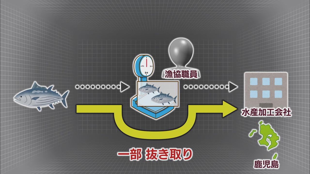 画像: 3ルートを立件　漁業関係者19人を逮捕